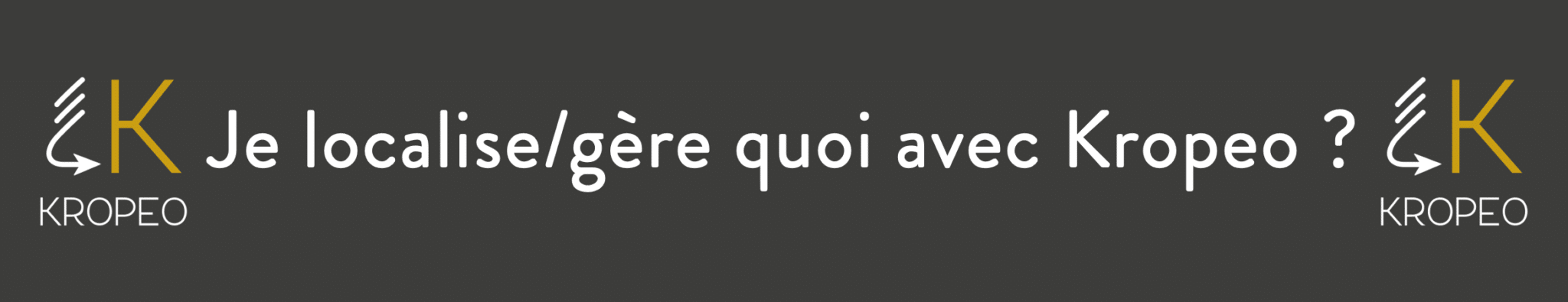 Lire la suite à propos de l’article Activités agricoles et forestières : Les éléments dans Kropeo pour l&rsquo;organisation.